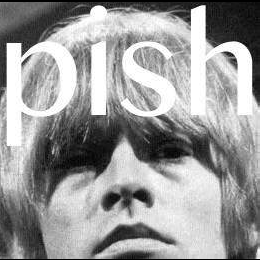 BRIAN JONESTOWN MASSACRE MINI ALBUM THINGY WINGY