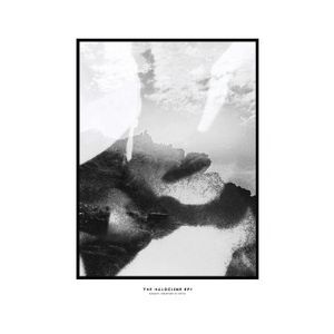 HIPPO CAMPUS HALOCLINE EPs
